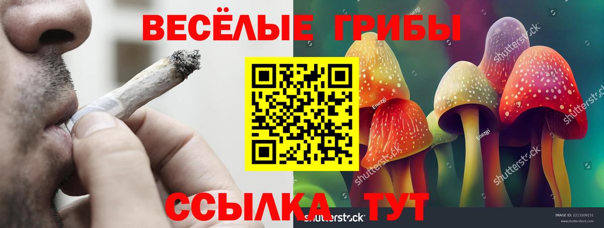 Псилоцибиновые грибы Psilocybe Надым